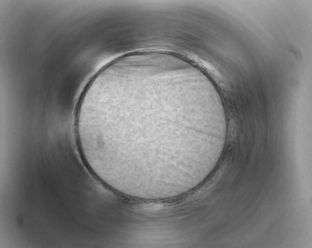 X0000116661470201001041100