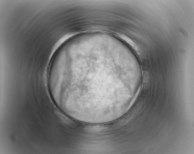 X0000116661474201001041100