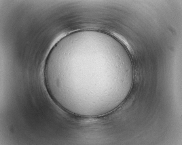 X0000116661475201001041100