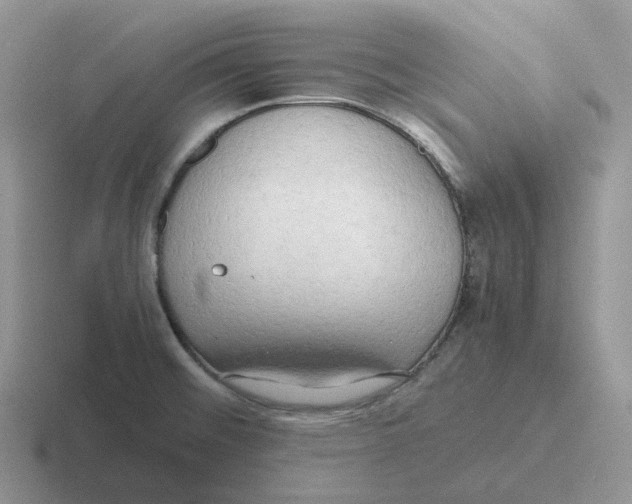 X0000116661476201001041100