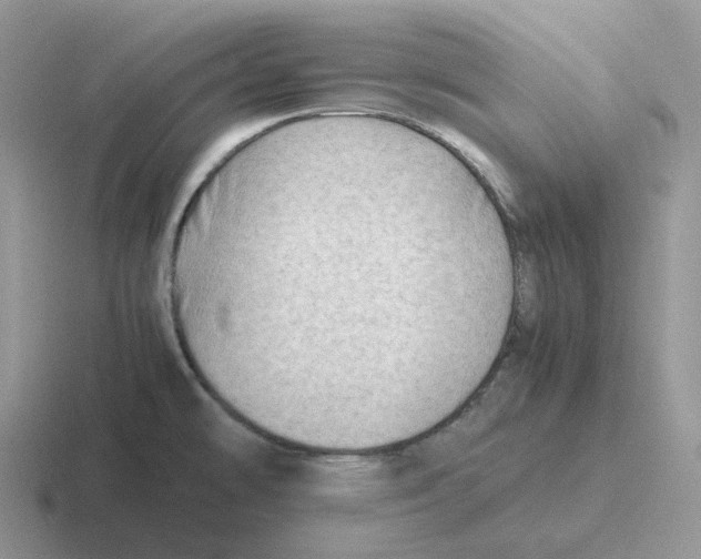 X0000116661478201001041100