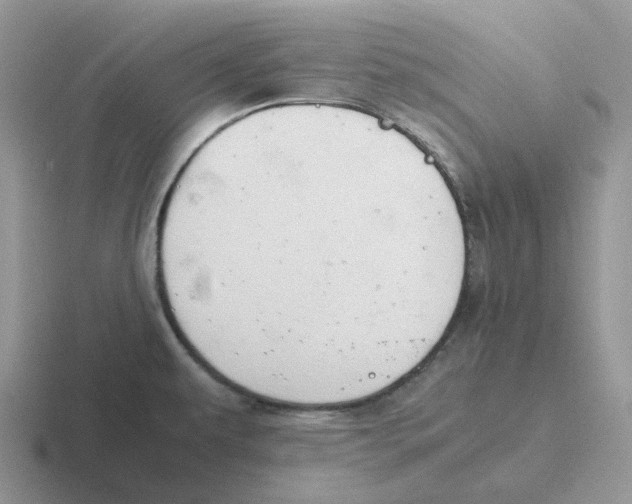 X0000116661479201001041100