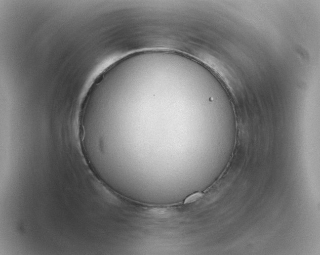 X0000116661480201001041100