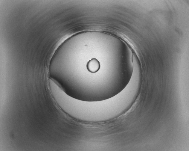 X0000116661481201001041100