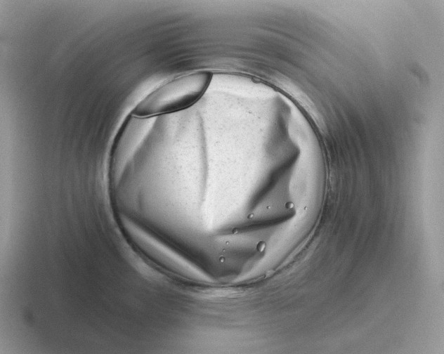 X0000116661482201001041100