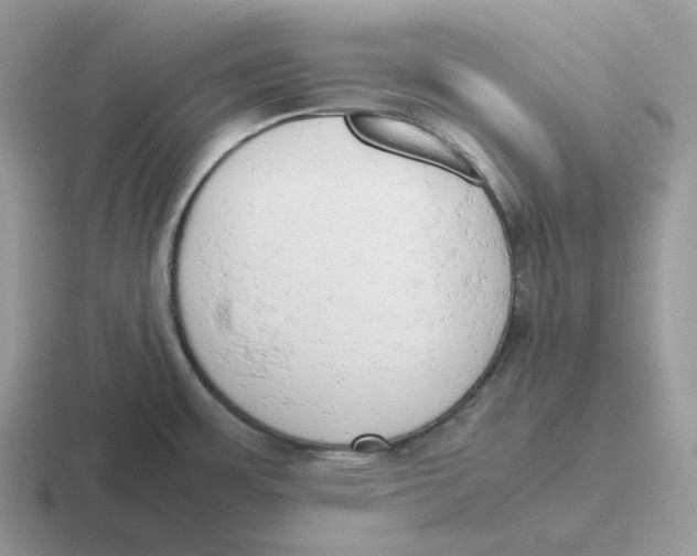 X0000116661483201001041100