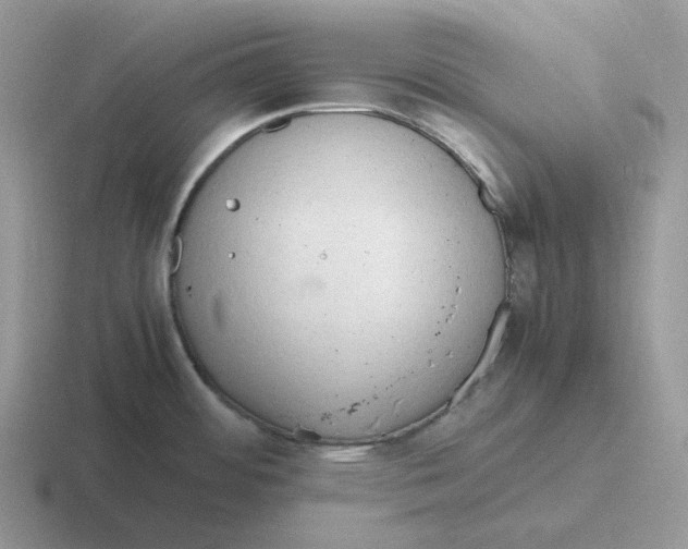 X0000116661484201001041100