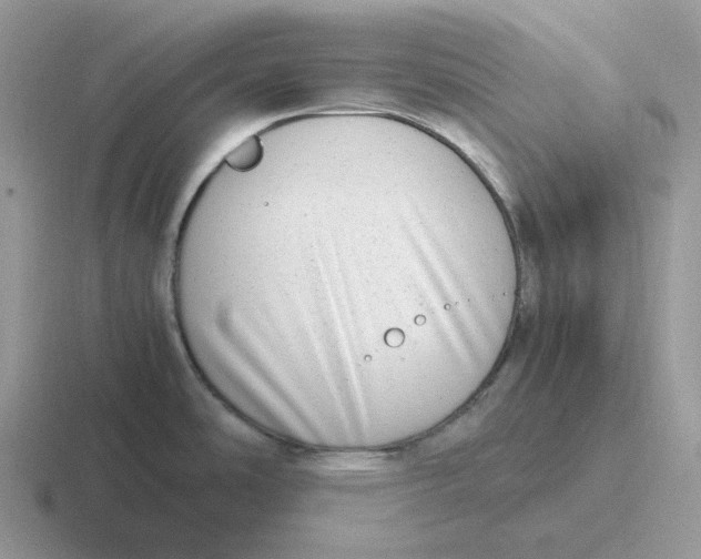 X0000116661486201001041100