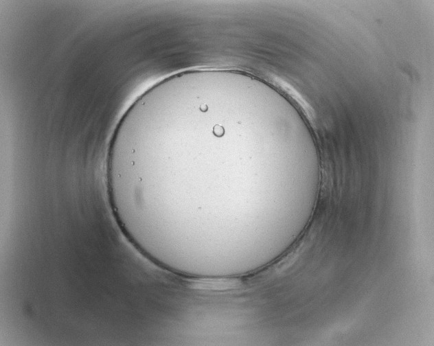 X0000116661487201001041100