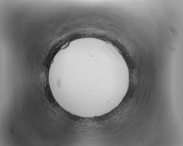 X0000116661493201001041059