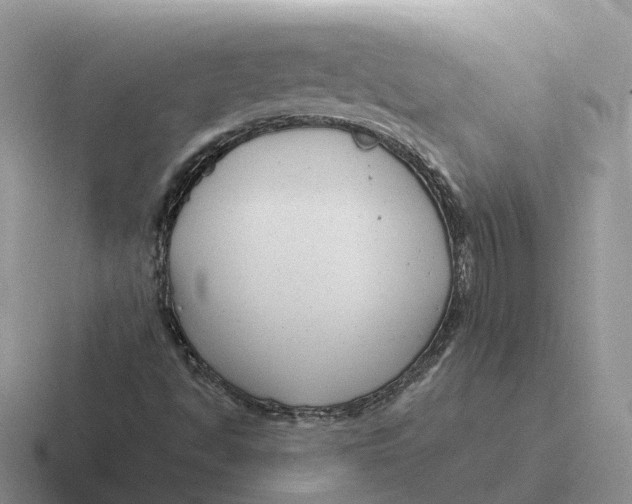 X0000116661494201001041059