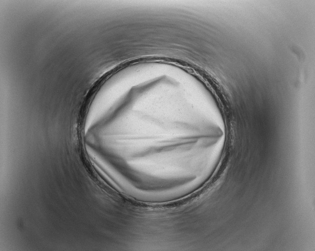 X0000116661497201001041059