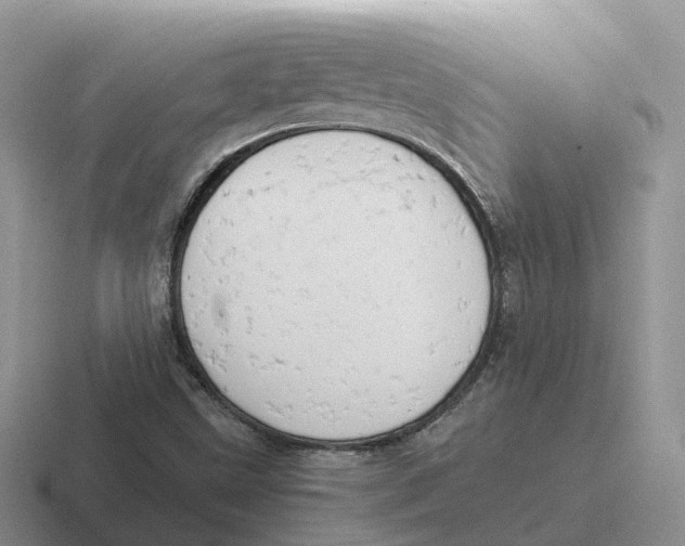 X0000116661499201001041059