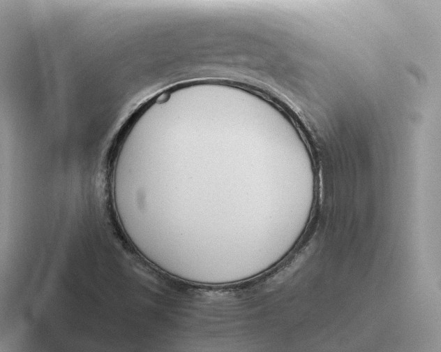 X0000116661501201001041059