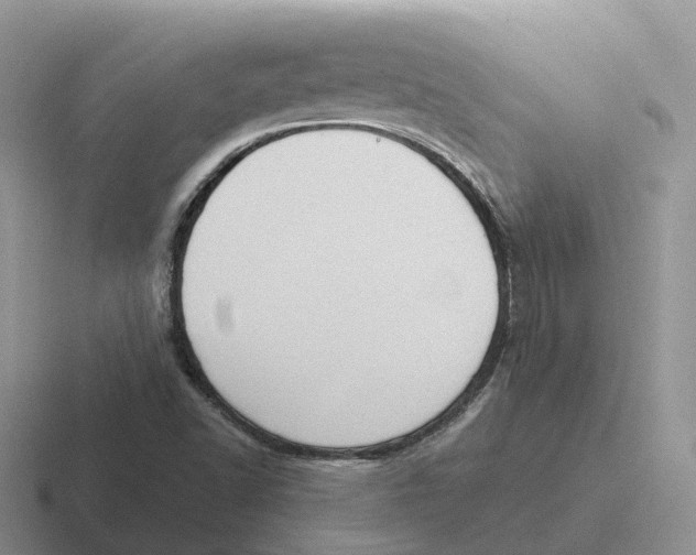 X0000116661502201001041059