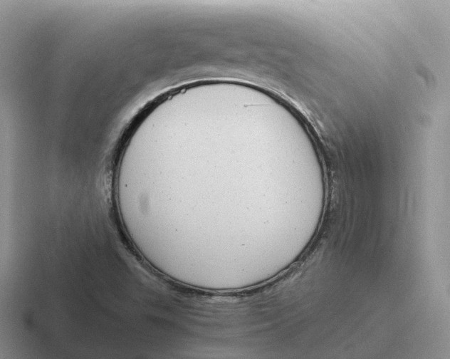 X0000116661503201001041059