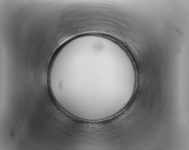 X0000116661505201001041059