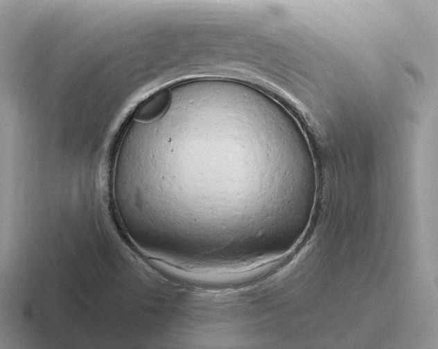 X0000116661506201001041059