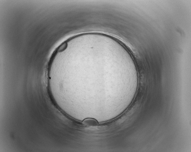 X0000116661510201001041059