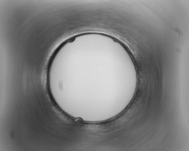 X0000116661511201001041059