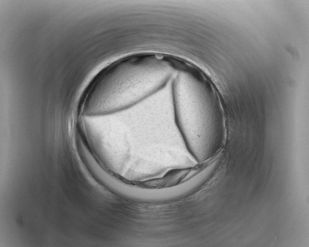 X0000116661515201001041100