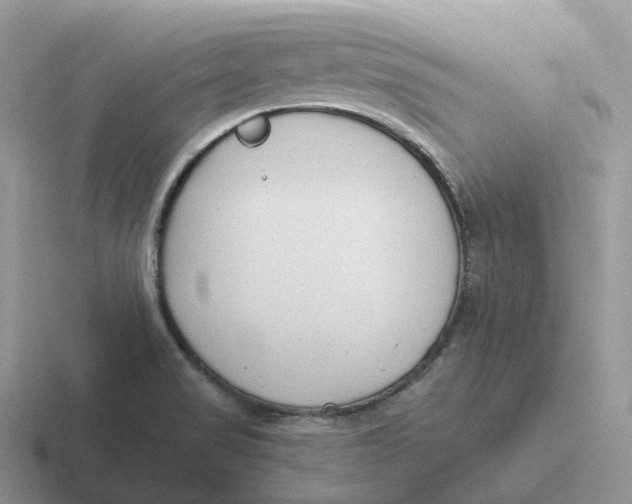 X0000116661517201001041100