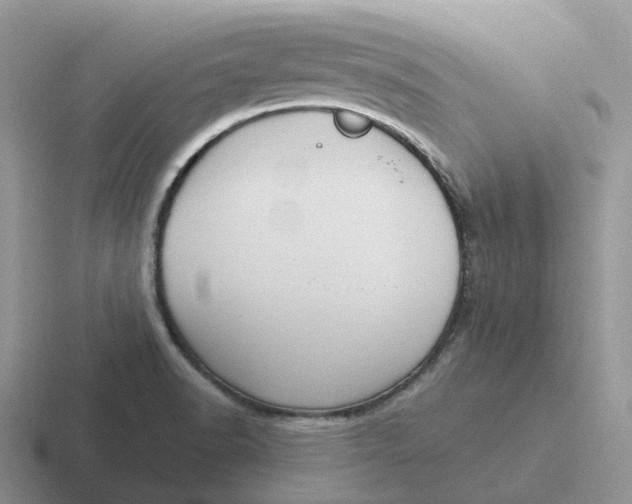 X0000116661518201001041100