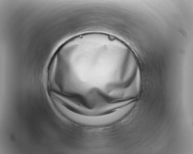 X0000116661519201001041100