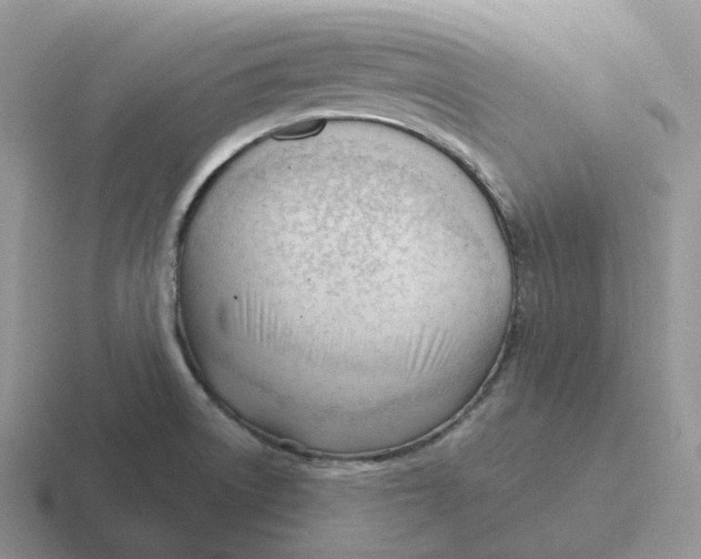 X0000116661522201001041100