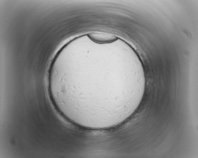 X0000116661523201001041100