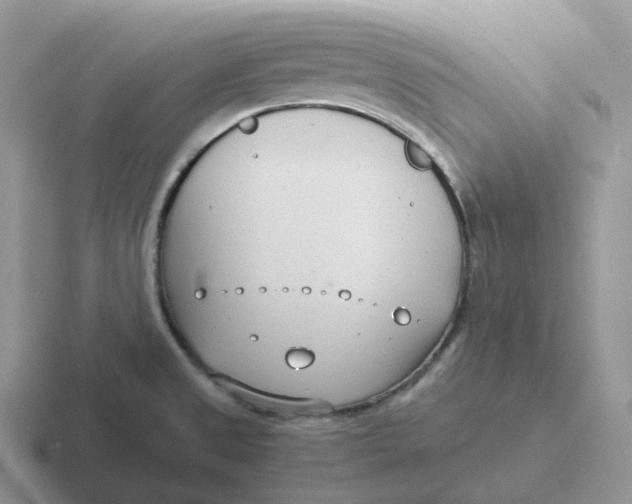 X0000116661525201001041100