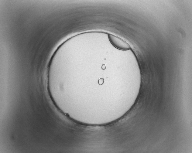 X0000116661526201001041100