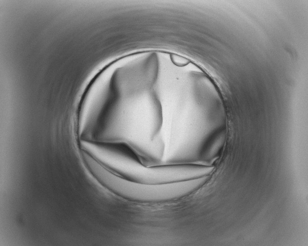 X0000116661527201001041100