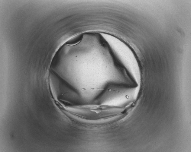 X0000116661529201001041100