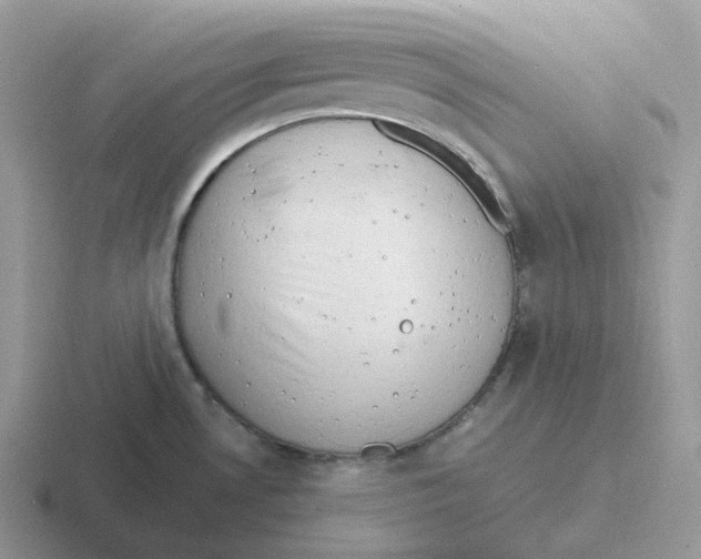 X0000116661530201001041100