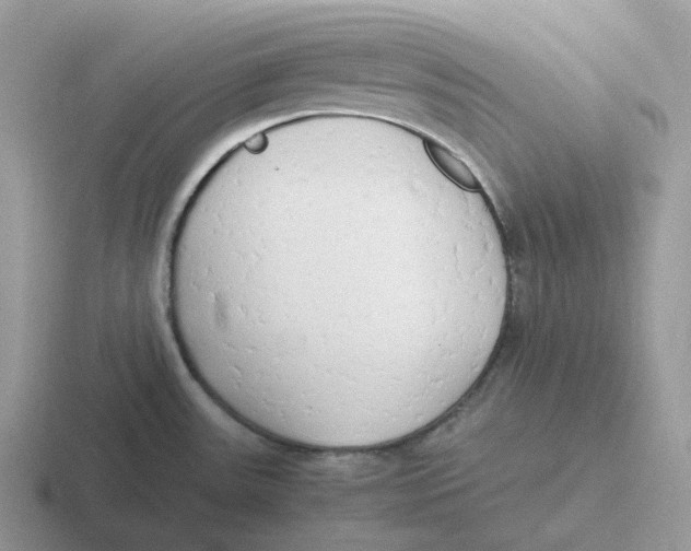 X0000116661531201001041100