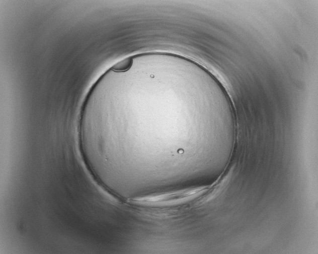 X0000116661533201001041100