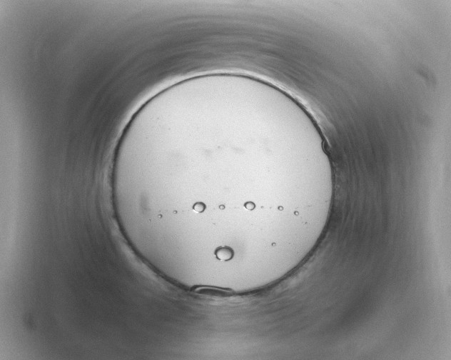 X0000116661534201001041100