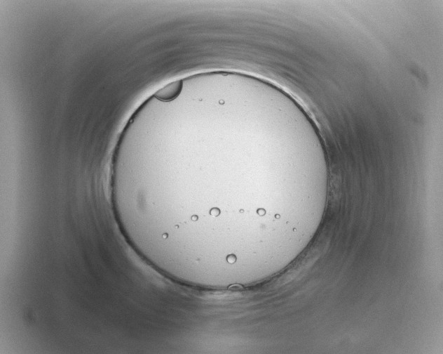 X0000116661535201001041100