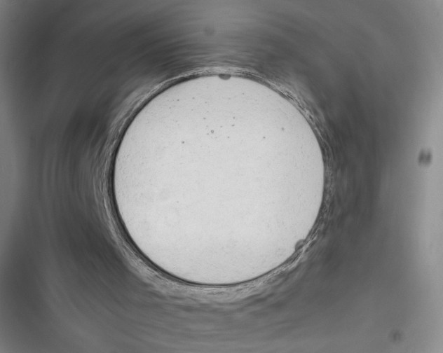 X0000116660001201001111300