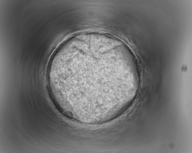 X0000116660002201001111300