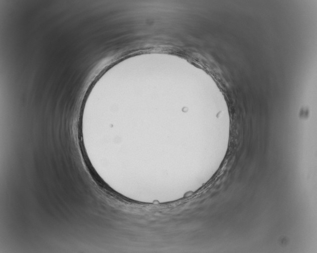 X0000116660003201001111259