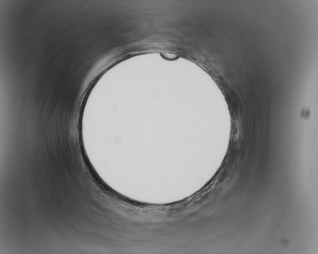 X0000116660004201001111259