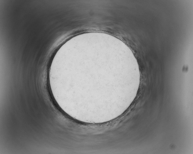 X0000116660005201001111259