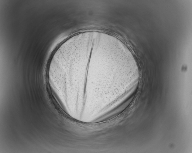 X0000116660006201001111259