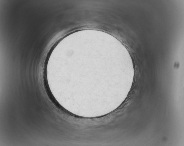X0000116660007201001111259
