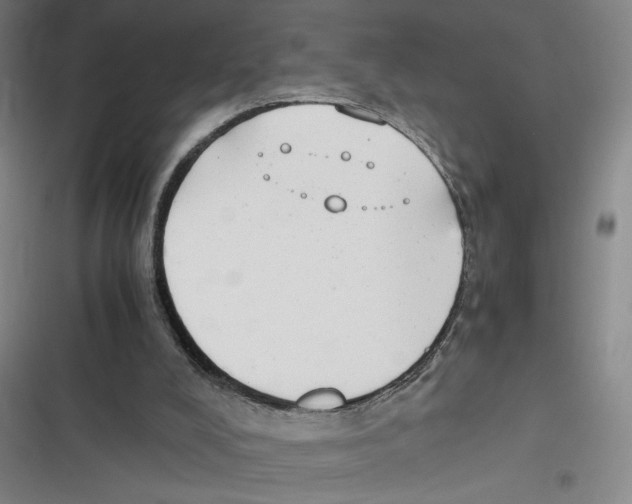 X0000116660008201001111259