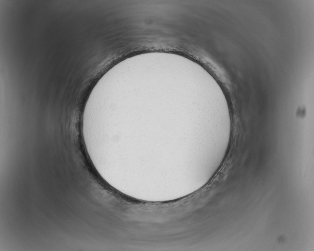 X0000116660009201001111259