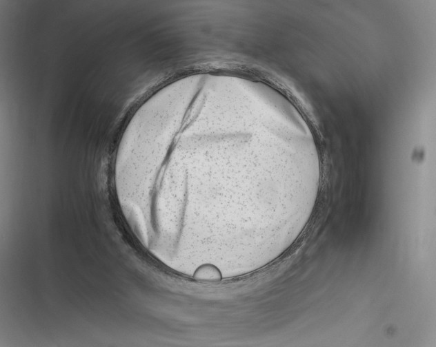X0000116660010201001111259