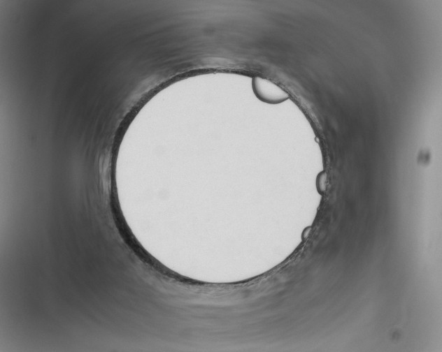 X0000116660011201001111259